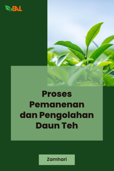 Proses Pemanenan dan Pengolahan Daun Teh